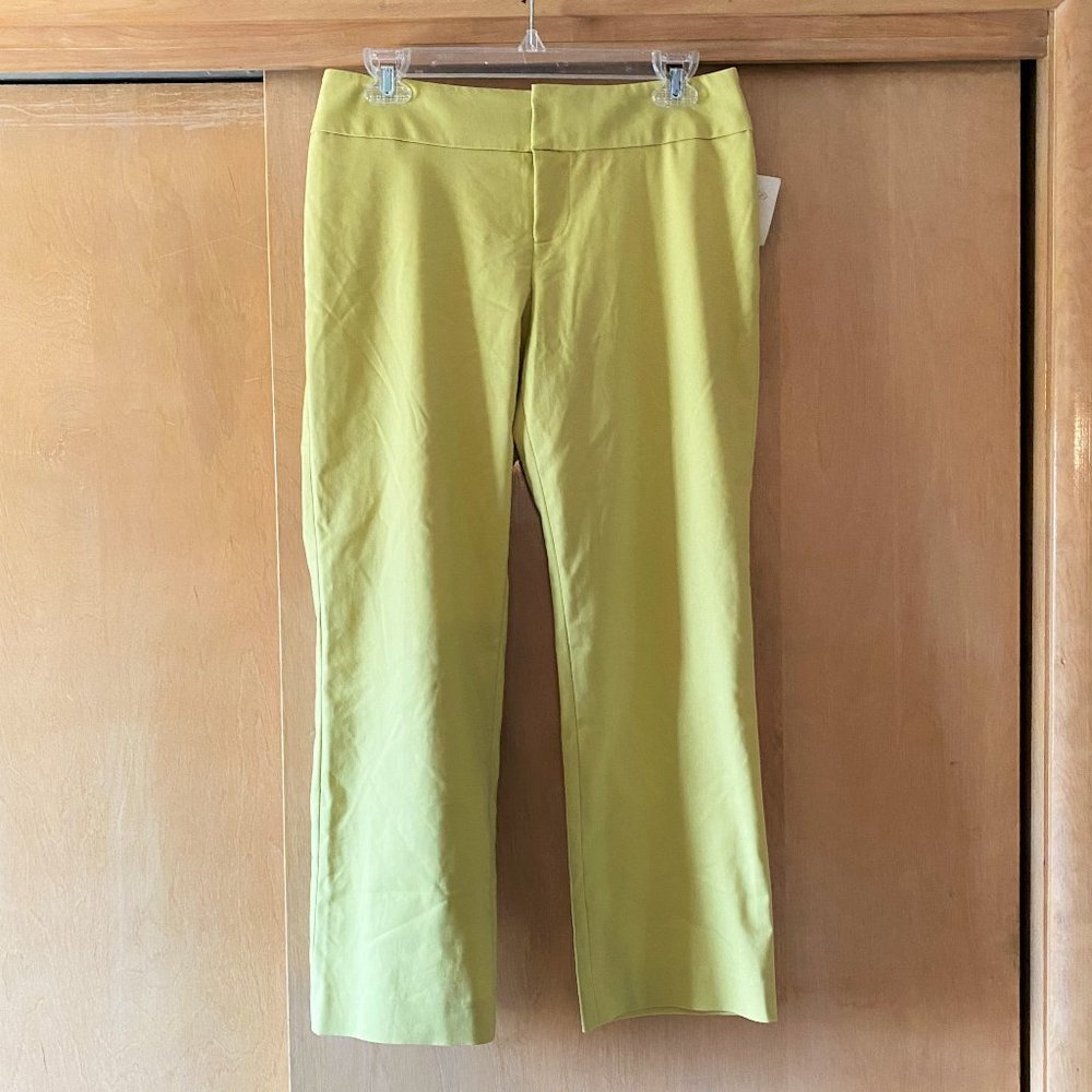 NWT Sz 4 Randy Kemper Spearmint Cropped Pants